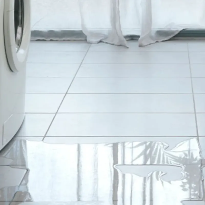 Appliance Leak Cleanup in Gladewater, TX
