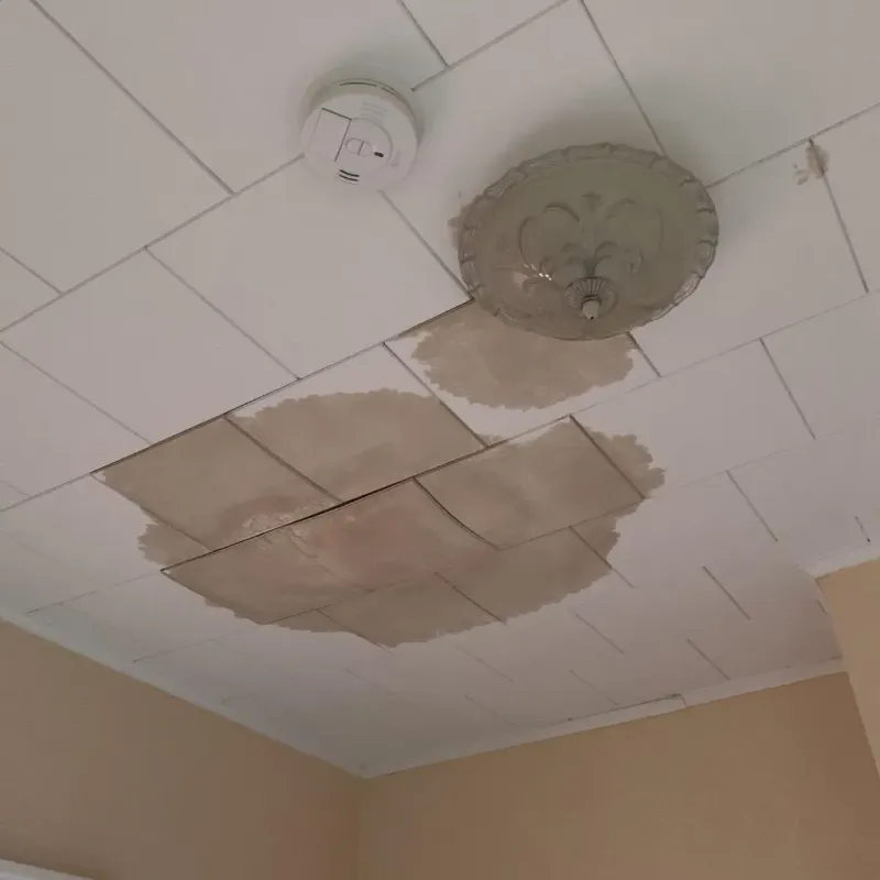 Ceiling Water Damage Repair in Gladewater, TX