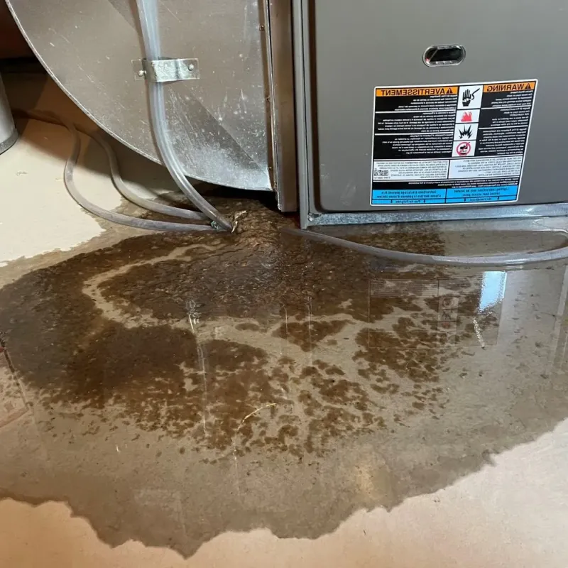 Pipe Burst and Leak Restoration in Gladewater, TX